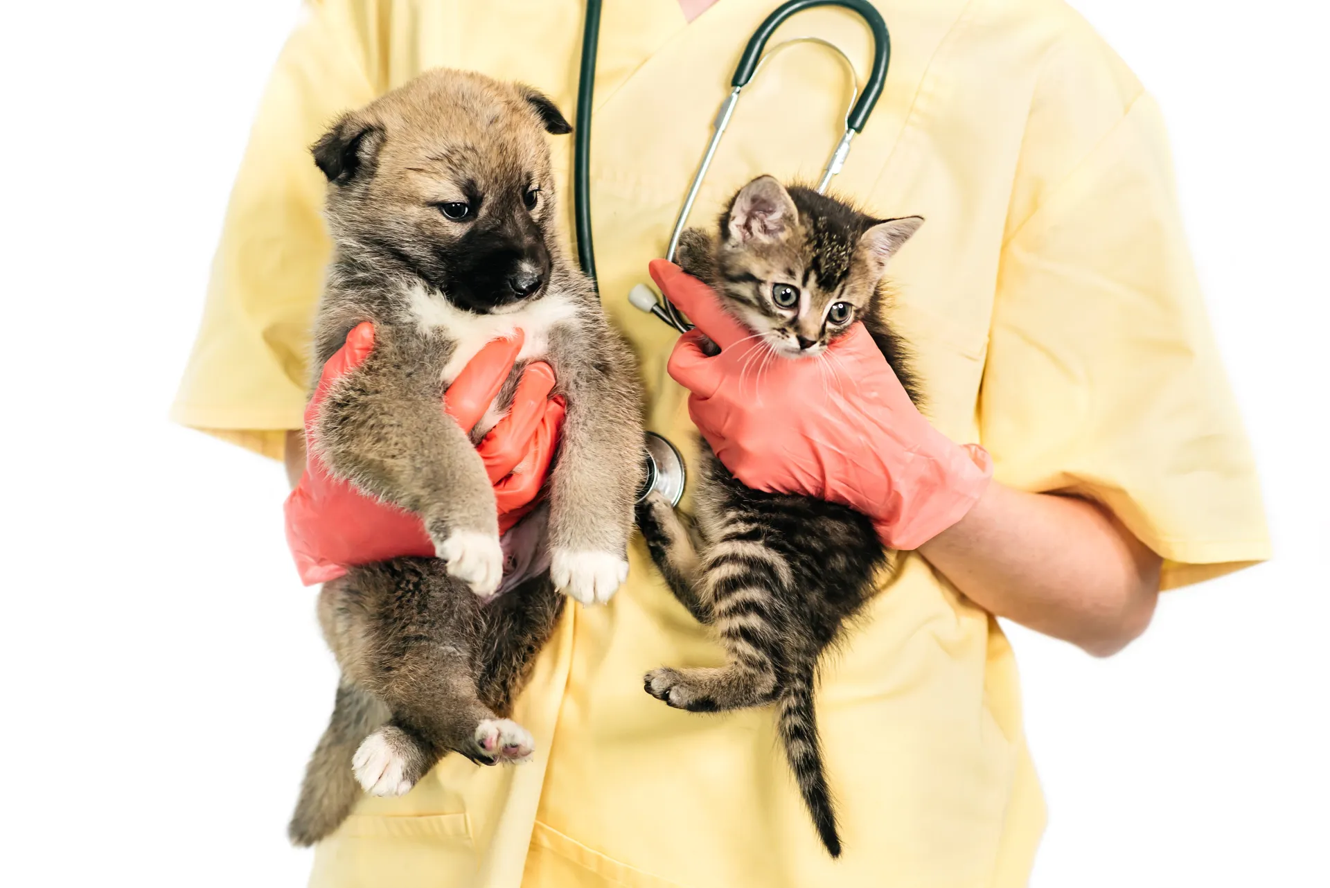 Veterinary Services<br />
