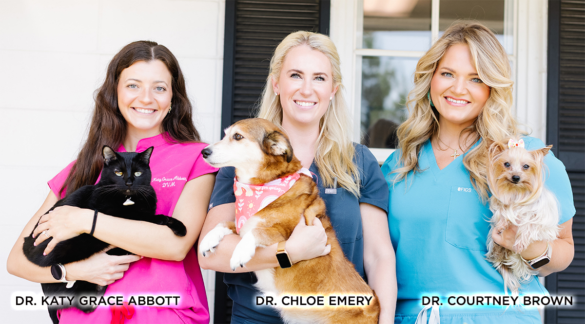 Dr. Katy Grace Abbott - Dr. Katy Grace Abbott